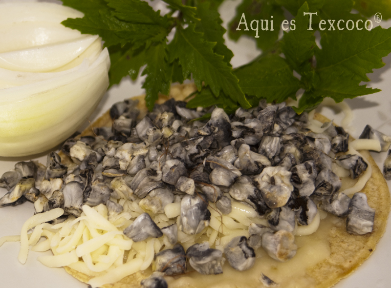 Amazing Huitlacoche