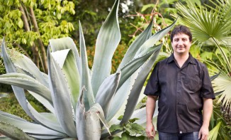 Paco and maguey plant