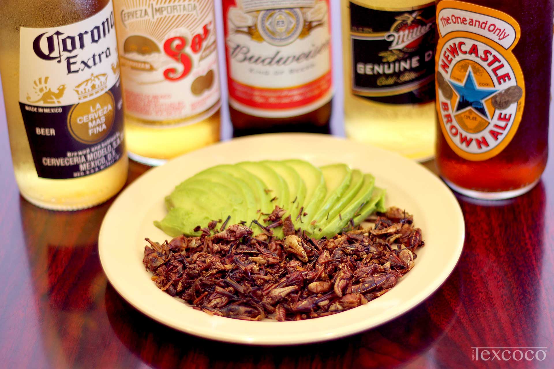 Chapulines, Avocado, and Beer